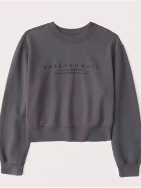 Abercrombie & Fitch Soft AF Cropped Crewneck Sweatshirt